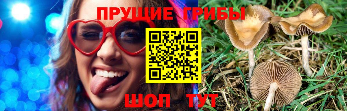 Галлюциногенные грибы мицелий Добрянка